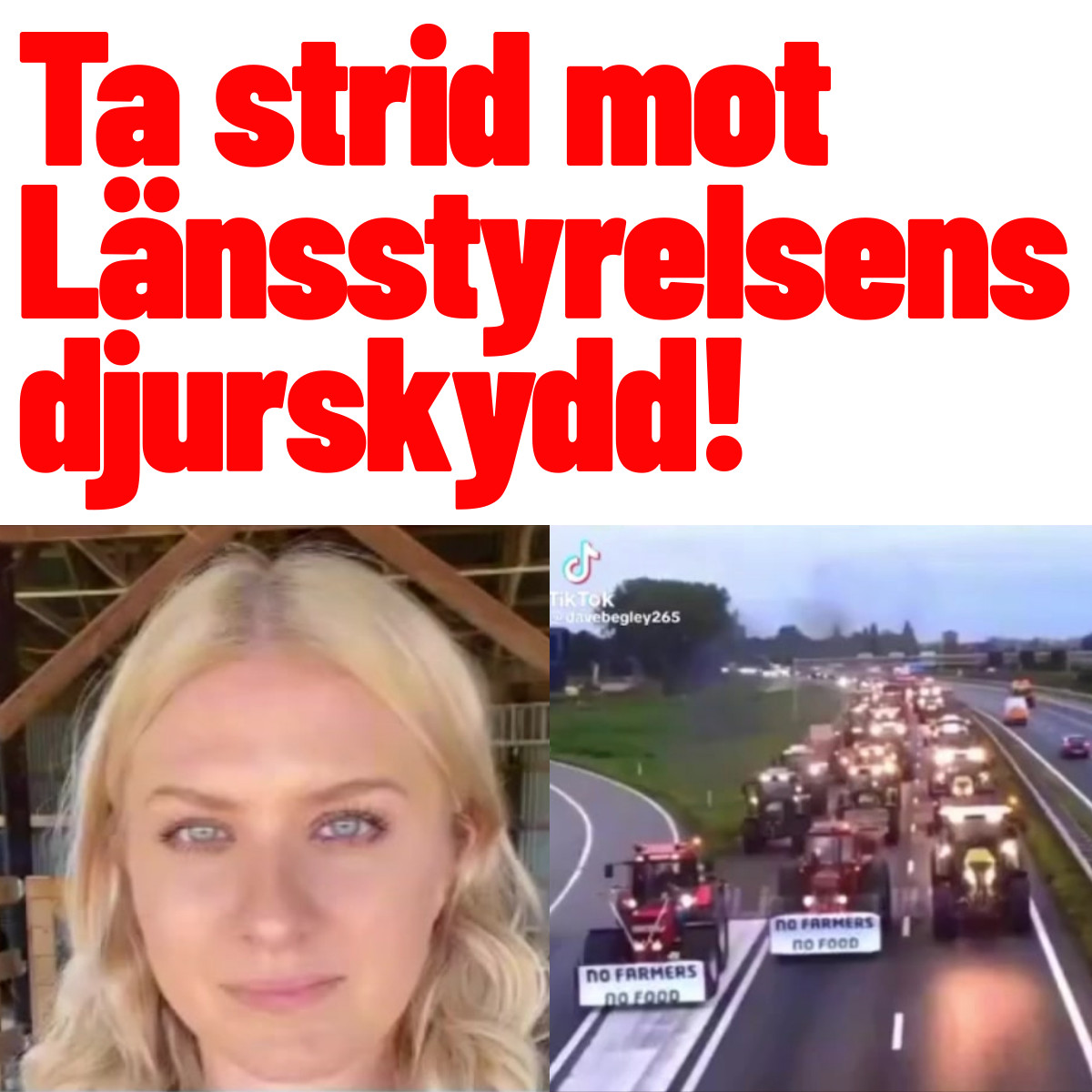 Ta Strid Mot Länsstyrelsens Djurskydd! - Vi Som Ska Stoppa ...